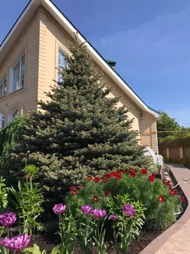 Коттедж в Самарская область, Ставропольский район, с. Ягодное Вишневая ...