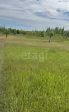 Участок в Саха (Якутия), Якутск  (765.0 сот.)