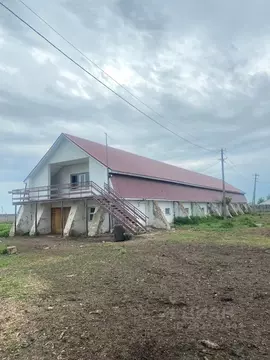 Помещение свободного назначения в Башкортостан, Уфимский район, ...