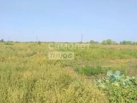 Участок в Курганская область, Курган с. Зайково,  (14.0 сот.)