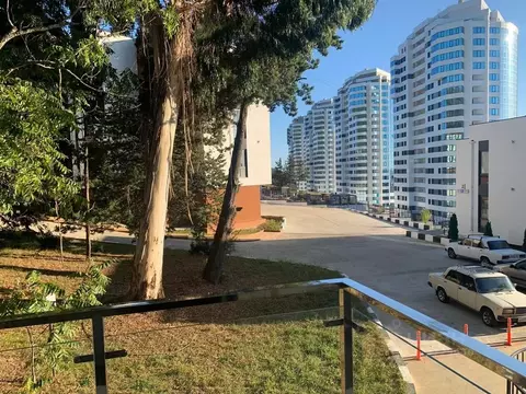 Студия Краснодарский край, Сочи ул. Ленина, 298В/3 (27.0 м)