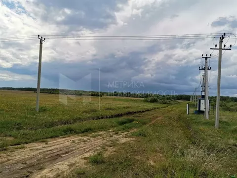 Участок в Тюменская область, Тюменский муниципальный округ, с. Кулига ...