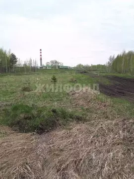 Участок в Новосибирская область, Новосибирский район, Станционный ...