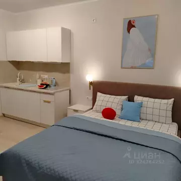 Студия Свердловская область, Екатеринбург просп. Космонавтов, 7Б (27.0 ...