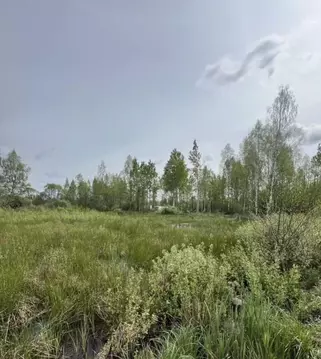 Участок в Псковская область, Псков ул. Самкова (15.0 сот.)