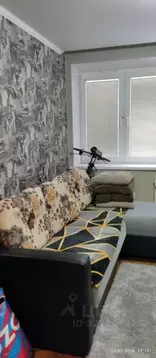 Комната Санкт-Петербург ул. Димитрова, 3К4 (16.6 м)