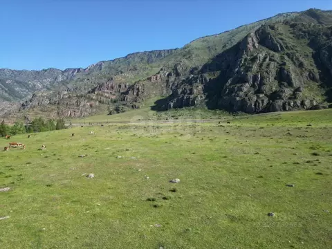 Участок в Алтай, с. Онгудай  (70.0 сот.)