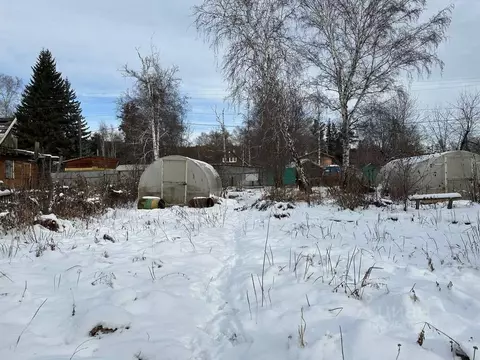 Участок в Иркутская область, Иркутск Садовод СНТ, 31 (14.3 сот.)
