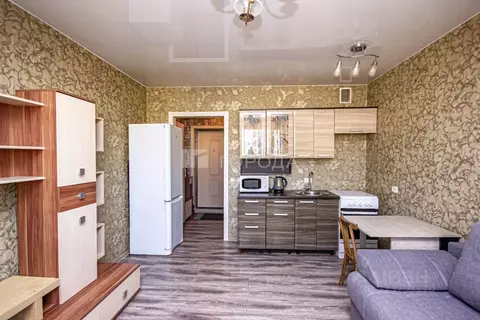 Студия Новосибирская область, Новосибирск ул. Одоевского, 1/10 (20.4 ...