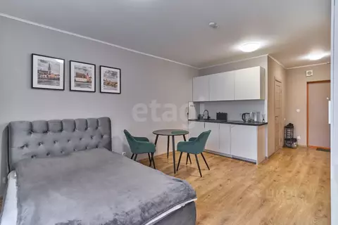 Студия Санкт-Петербург пос. Парголово, проезд Толубеевский, 8к2 (24.7 ...