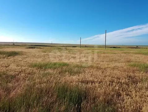 Участок в Крым, Ленинский район, Батальненское с/пос, Нептун СНТ  (6.0 ...