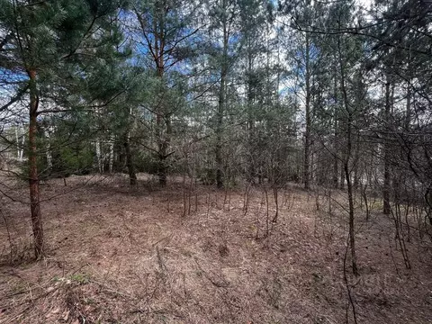 Участок в Калужская область, Перемышльский район, Корекозево с/пос, ...