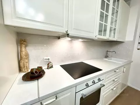 Студия Санкт-Петербург аллея Евгения Шварца, 6 (30.1 м)