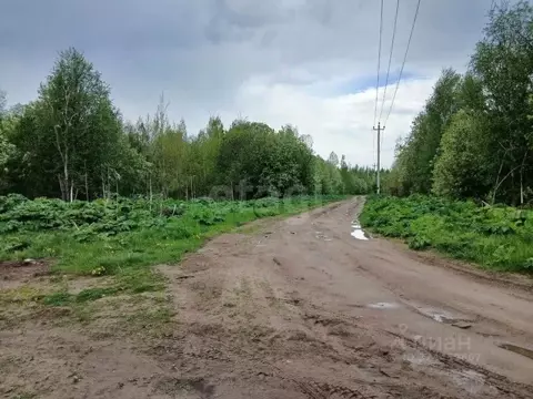Участок в Ленинградская область, Волховский район, Пашское с/пос, с. ...