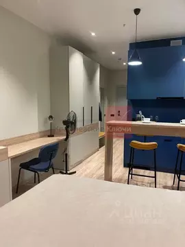 Студия Санкт-Петербург просп. Энергетиков, 8к2 (24.0 м)