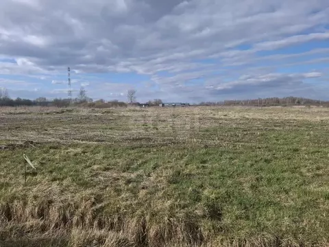 Участок в Ярославская область, Ярославский муниципальный округ, ...