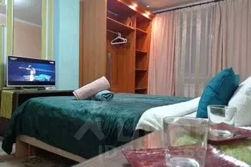 1-к кв. Московская область, Домодедово Северный мкр, ул. 1-я ...