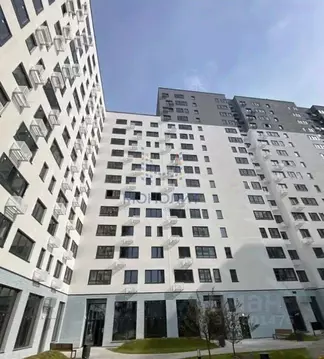 Помещение свободного назначения в Москва ул. Братьев Гранат, 8 (22 м)