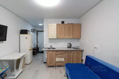 Студия Тюменская область, Тюмень ул. Новоселов, 113 (17.9 м)