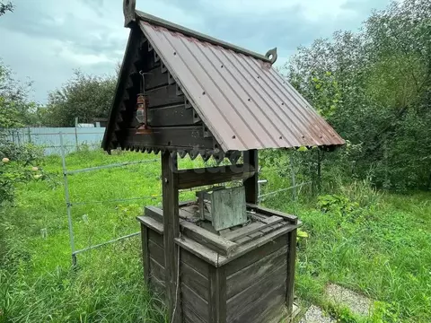 Участок в Воронежская область, Рамонский район, Новоживотинновское ...