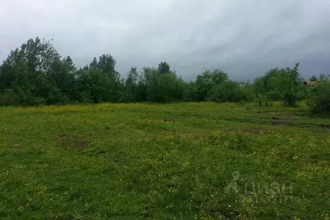 Участок в Омская область, Омский район, с. Дружино  (30.0 сот.)