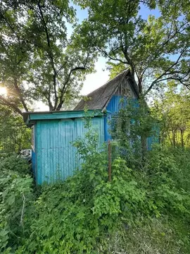 Дом в Брянская область, Брянск Природа садовое общество,  (20 м)