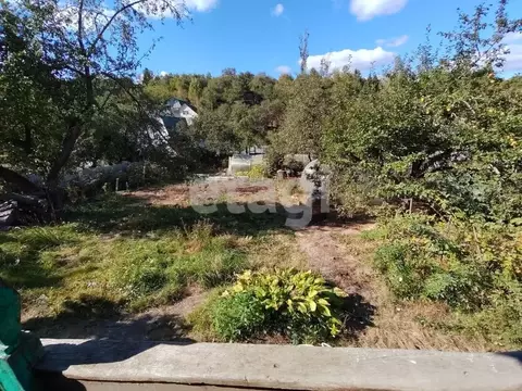 Дом в Брянская область, Брянск Натуралист СДТ,  (17 м)