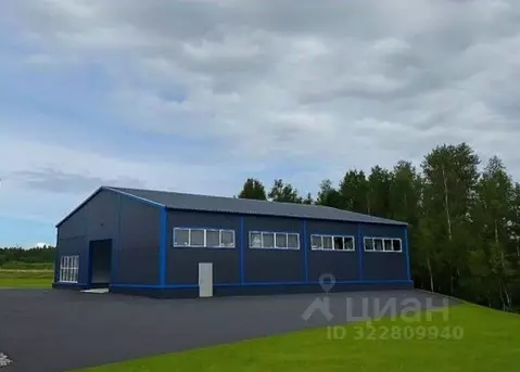 Производственное помещение в Ленинградская область, Ломоносовский ...