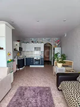 Студия Пермский край, Пермь ул. Журналиста Дементьева, 48 (33.0 м)