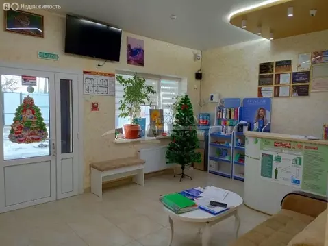 Помещение свободного назначения (166 м)