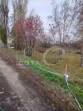 Участок в Воронежская область, Новоусманский район, пос. Отрадное ул. ...