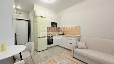 Студия Москва просп. Прокшинский, 7 (22.0 м)