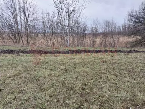 Участок в Ростовская область, Аксайский район, Грушевское с/пос, ...