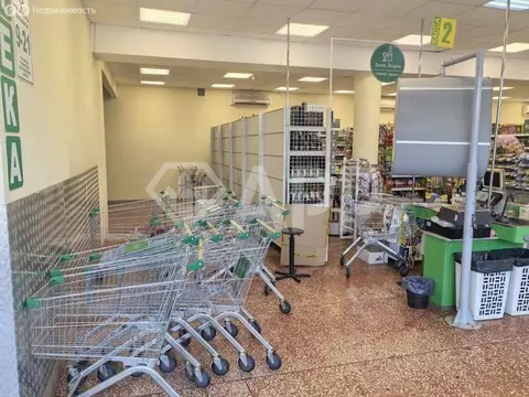 Помещение свободного назначения (86 м)