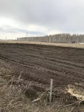 Участок в Челябинская область, Сосновский район, Кременкульское с/пос, ...