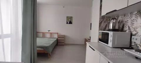 Студия Санкт-Петербург пос. Шушары, просп. Старорусский, 5к1 (21.5 м)