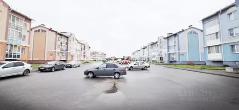 Студия Ивановская область, Кохма Просторный мкр, 11 (26.3 м)