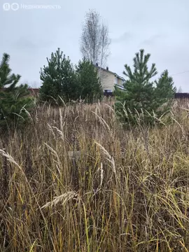 Участок в Московская область, Раменский муниципальный округ, деревня ...