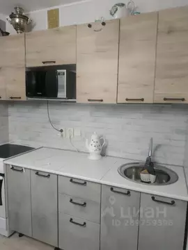 3-к кв. Камчатский край, Петропавловск-Камчатский ул. Академика ...