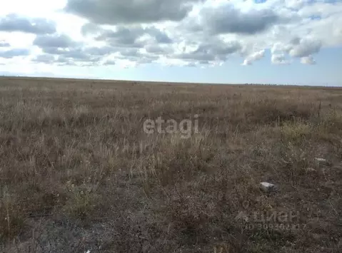 Участок в Крым, Сакский район, с. Уютное, Прибой СПК ул. Виноградная ...