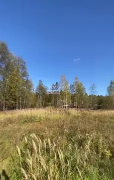 Участок в Марий Эл, Медведевский район, Куярское с/пос, пос. Куяр ул. ...