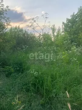 Участок в Брянская область, Брянский район, Чернетовское с/пос, д. ...