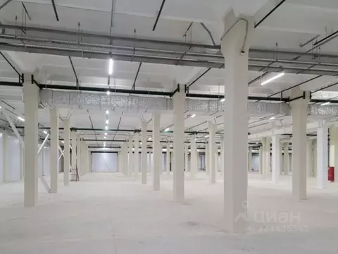 Склад в Москва Рябиновая ул., 53 (4000 м)