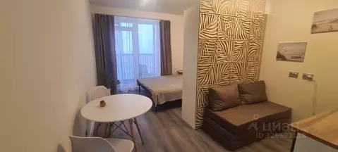 Студия Санкт-Петербург Парашютная ул., 77к1 (26.0 м)