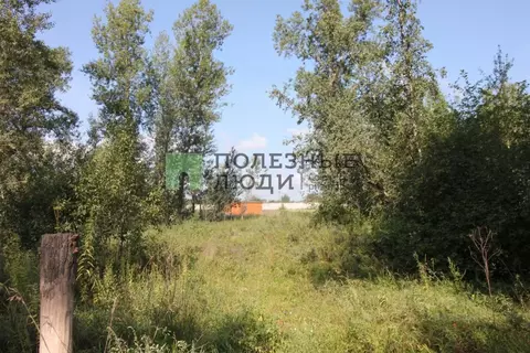 Участок в Красноярский край, Сосновоборский муниципальный округ, д. ...