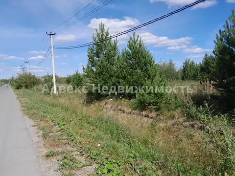 Участок в Тюменская область, Тюменский район, д. Ушакова, Молодежный ...