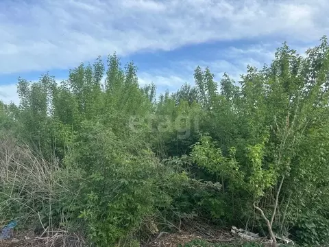 Участок в Тульская область, Узловский район, Шахтерское с/пос, с. ...