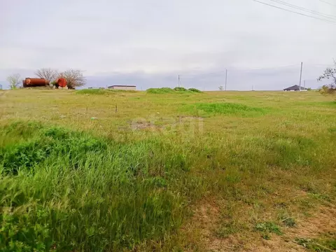 Участок в Крым, Черноморский район, с. Новосельское, Волна СНТ ул. ...