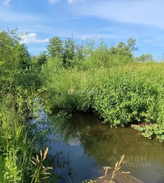 Участок в Пермский край, Пермский район, д. Меркушево ул. Лазурная ...