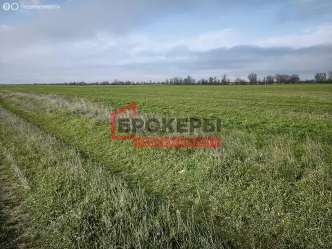 Участок в Сакский район, Ивановское сельское поселение, село ...